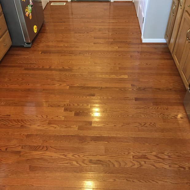 Images Stat Carpet Cleaning