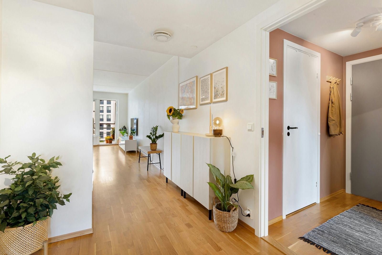 Bright hallway interior featuring wooden flooring, indoor plants, minimalist decor, white walls, and natural lighting, creating a clean, airy, and functional residential living space with modern design elements.