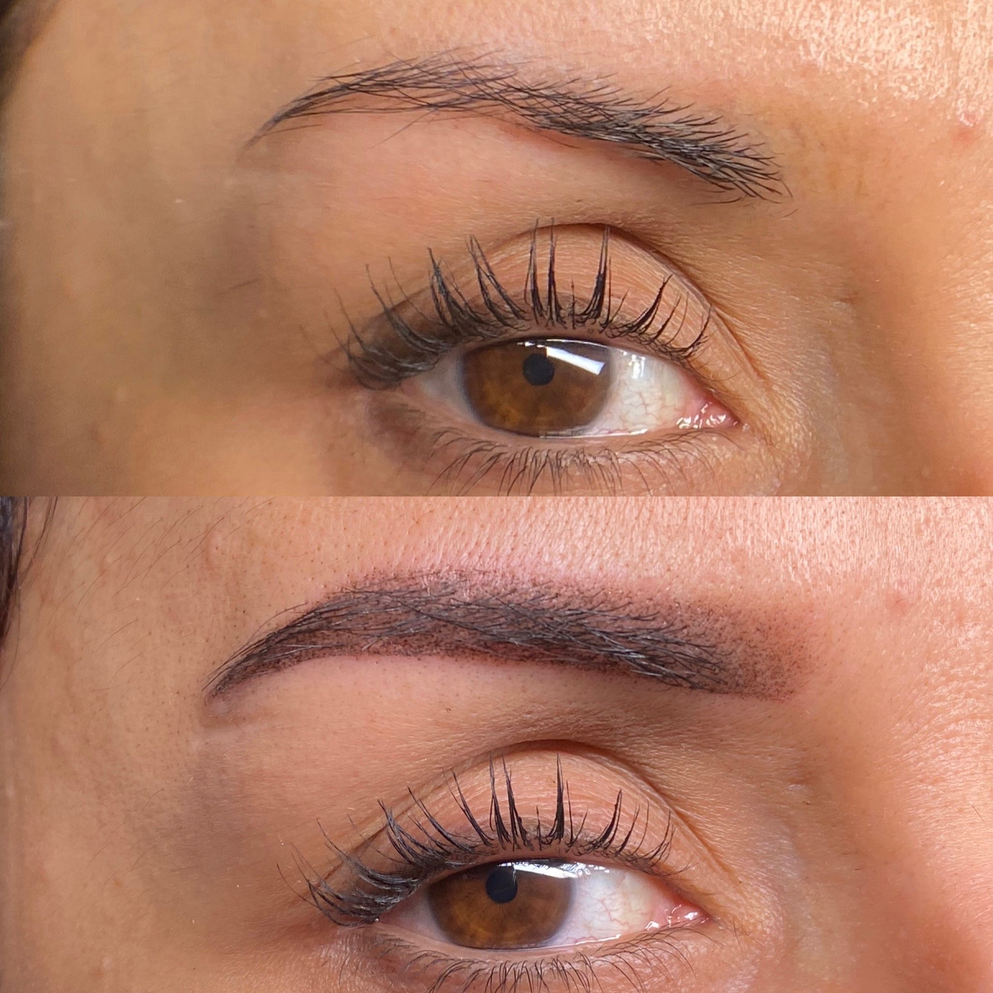 Images Tebori Brows S.L