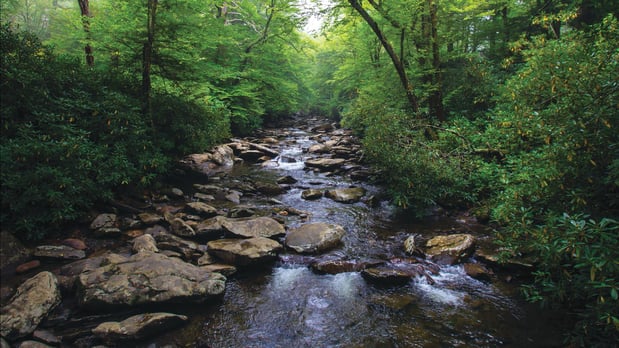 Images Wildflower Ranch - Select Collection