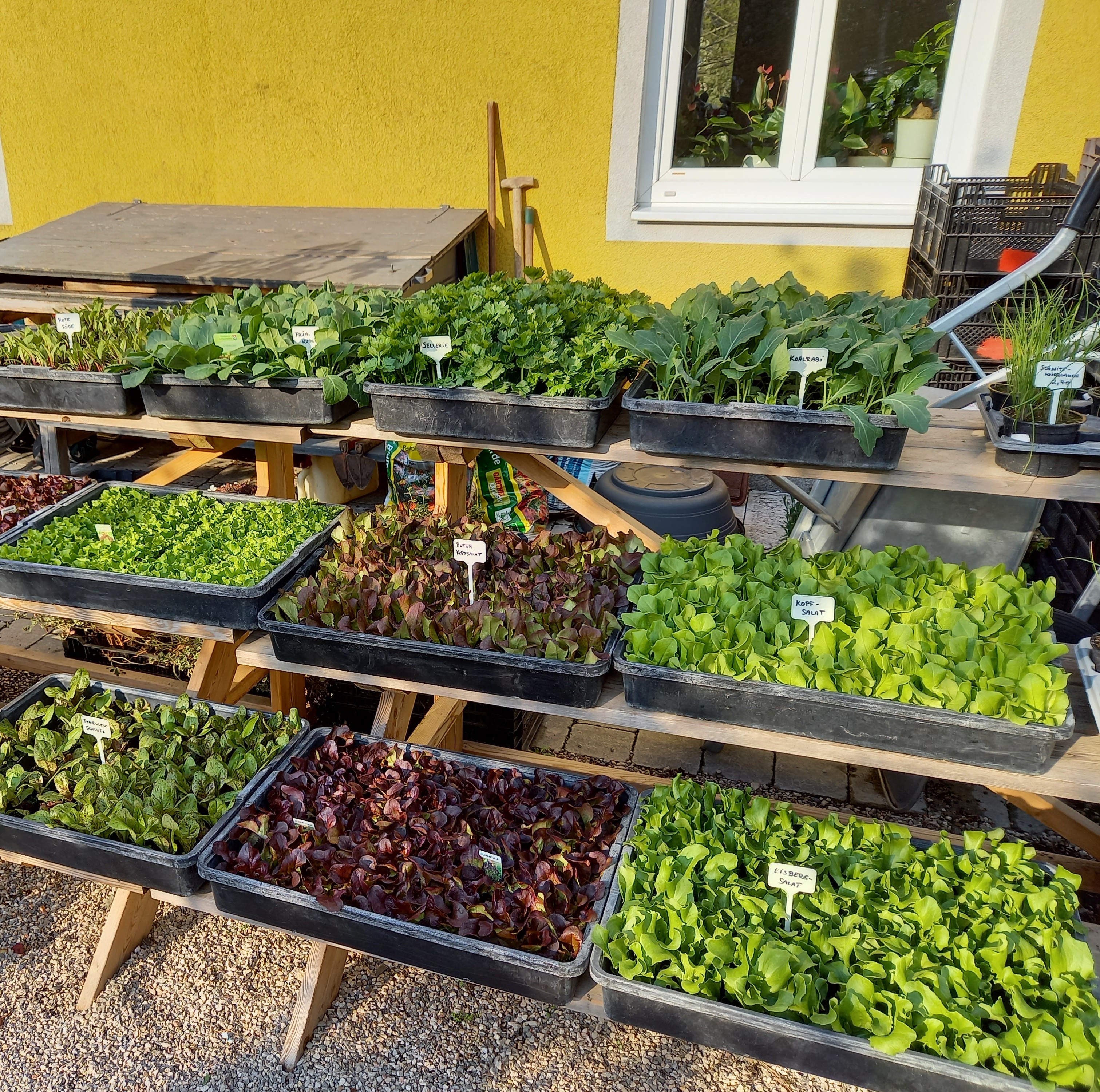 Bild 13 von Grün-Zone