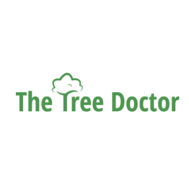 LOGO The Tree Doctor Rotherham 07458 692888