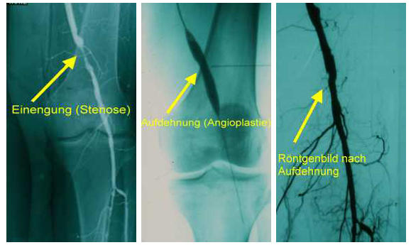 Dr. sc. med. Jörg Krenzien, Platz der Einheit 14 in Potsdam