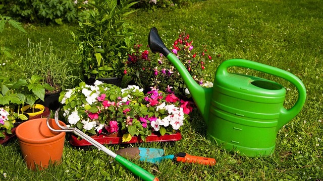 Images Flemming Pedersen Anlægsgartner ApS