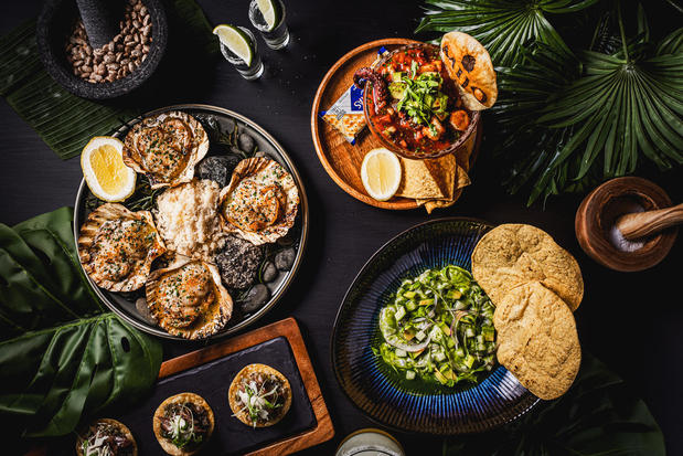 Images Mijo Modern Mexican Restaurant