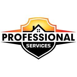 Professional Services
