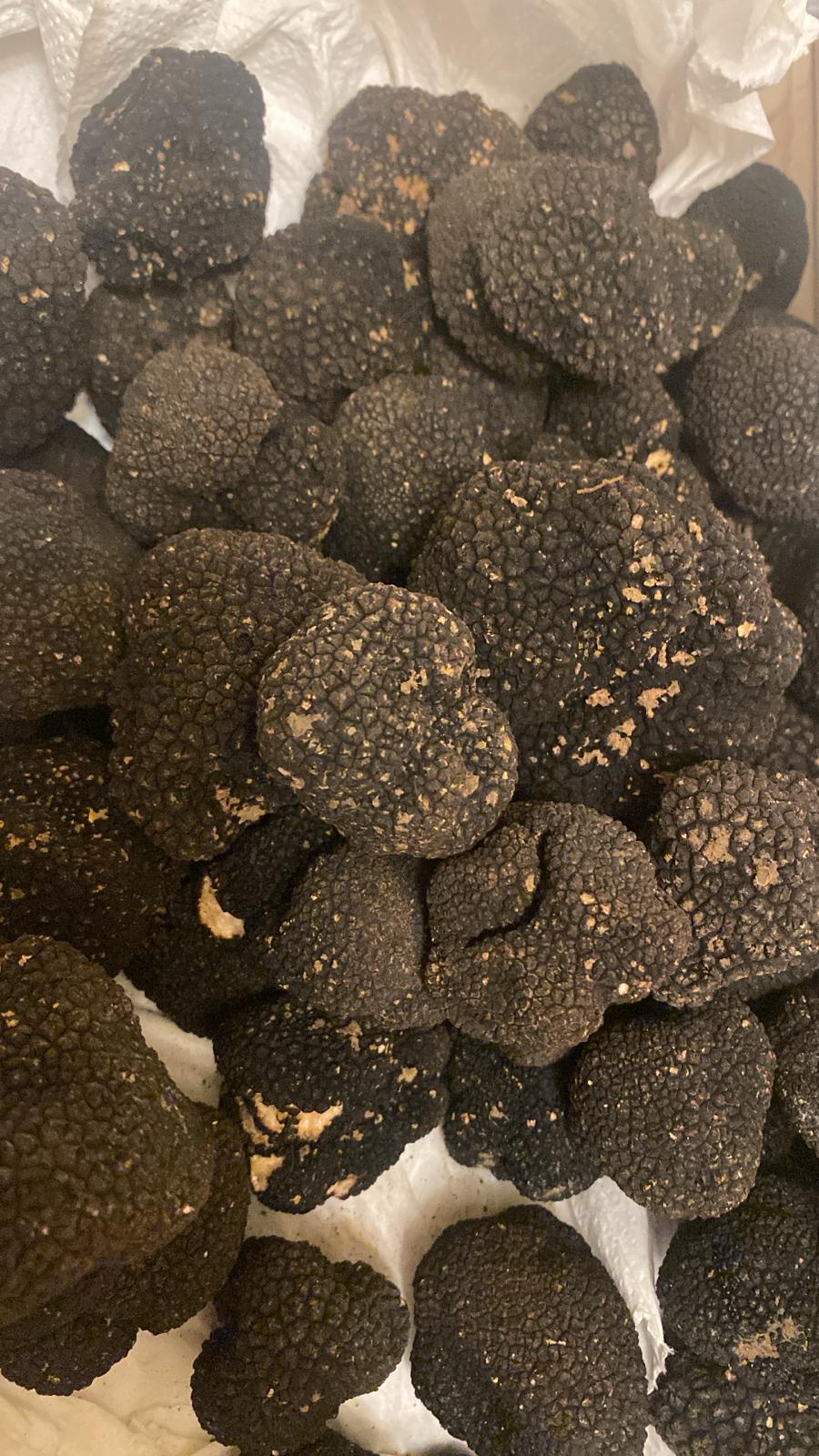 Images El Fogaril Gastrobar