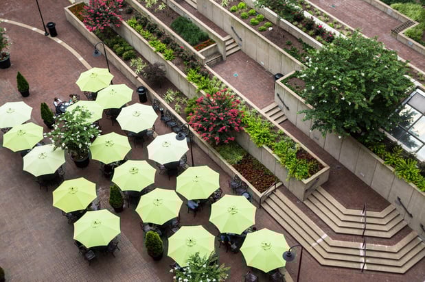 Images Holiday Inn Washington Capitol - Natl Mall by IHG