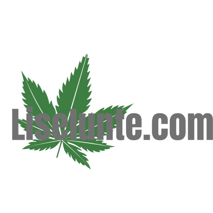 Liselunte.com Logo