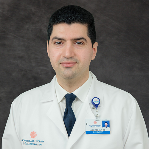 Amir F Abdoly