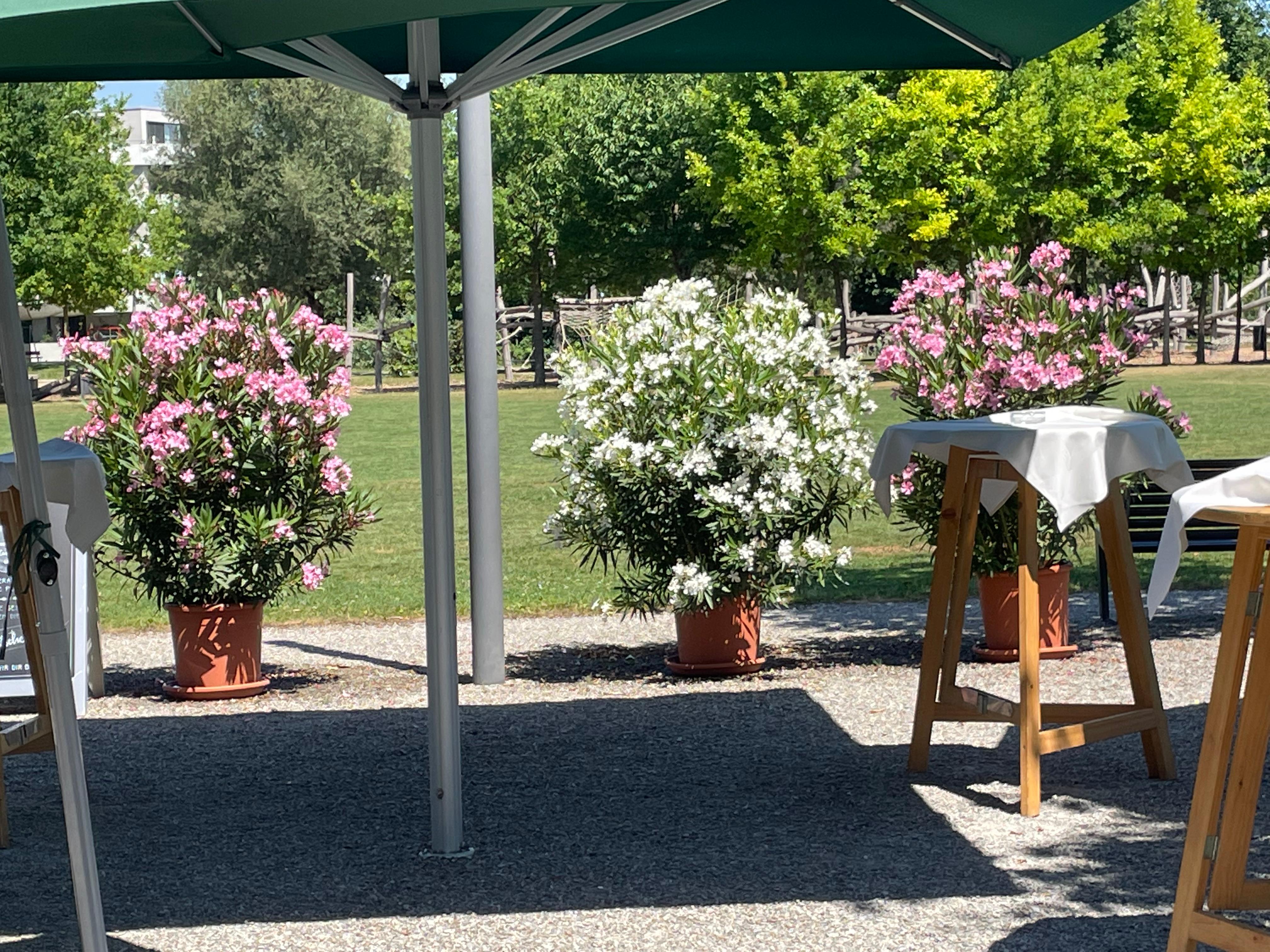 Bilder Restaurant Eulachpark Halle 710