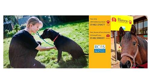 Images Haven Veterinary Group, Hedon