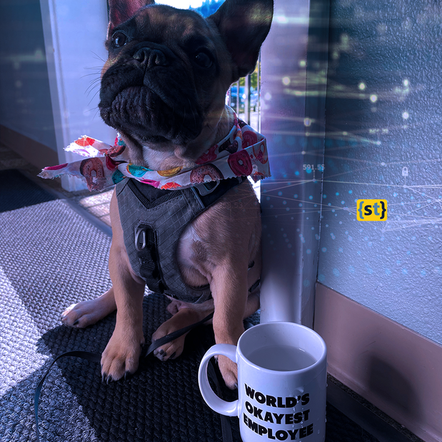 Images Systech Consulting