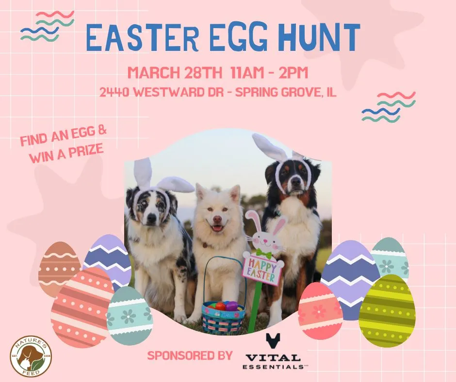 Image of Local Pet Event Easter Egg Hunt Nearby