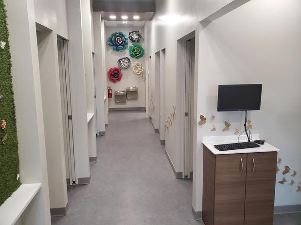 Images Carrollwood Dental Studio - Tampa