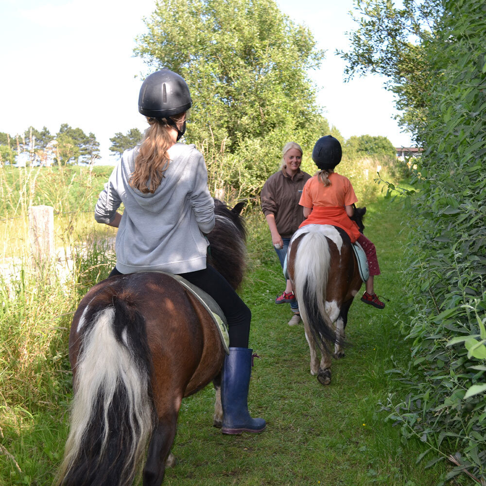 Strandhof Holnis, Holnisser Noorstraße 2 in Glücksburg (Ostsee)