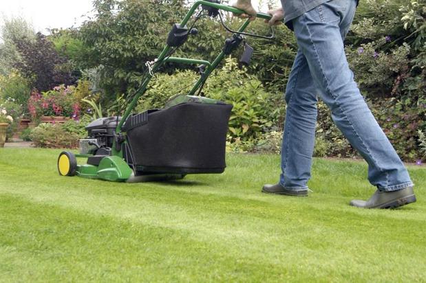 Images Ashburn Lawn Care