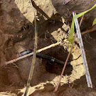 North Brothers Plumbing Image