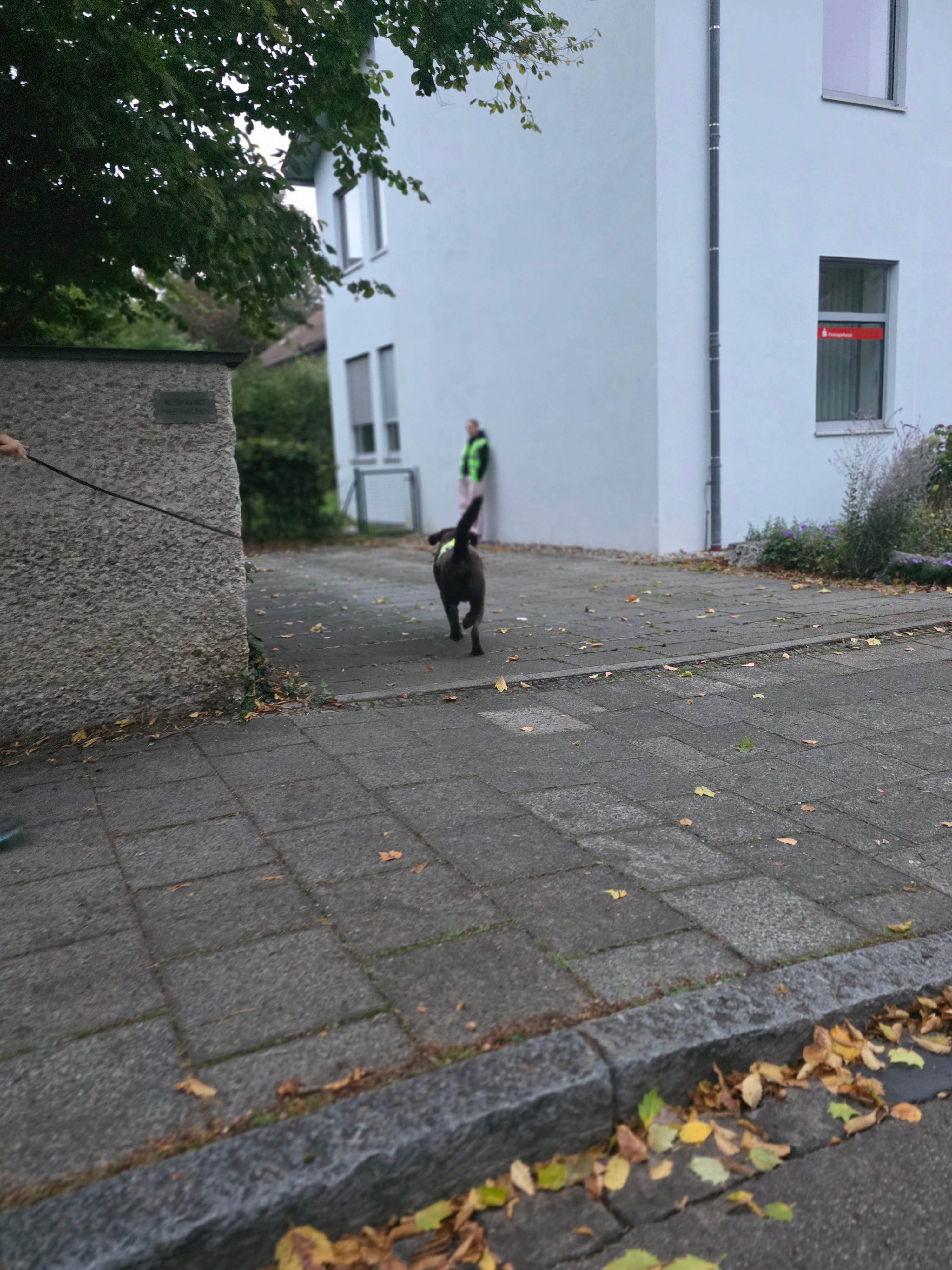 Tinas HuSchu in Baierbrunn