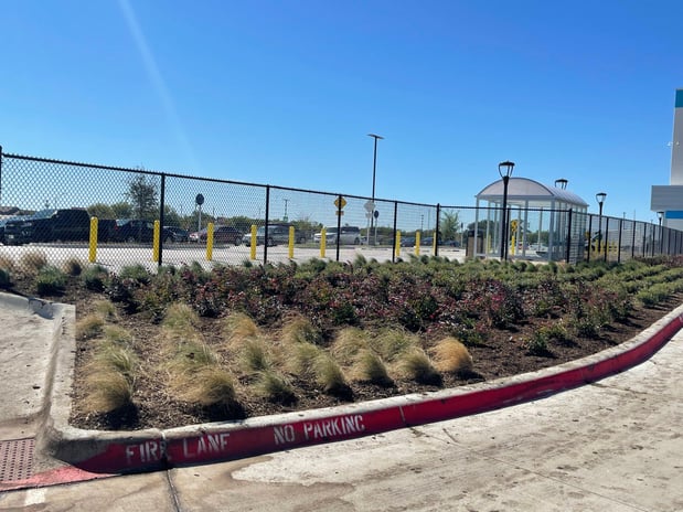 Images Plant Care, Commercial Landscape Maintenance