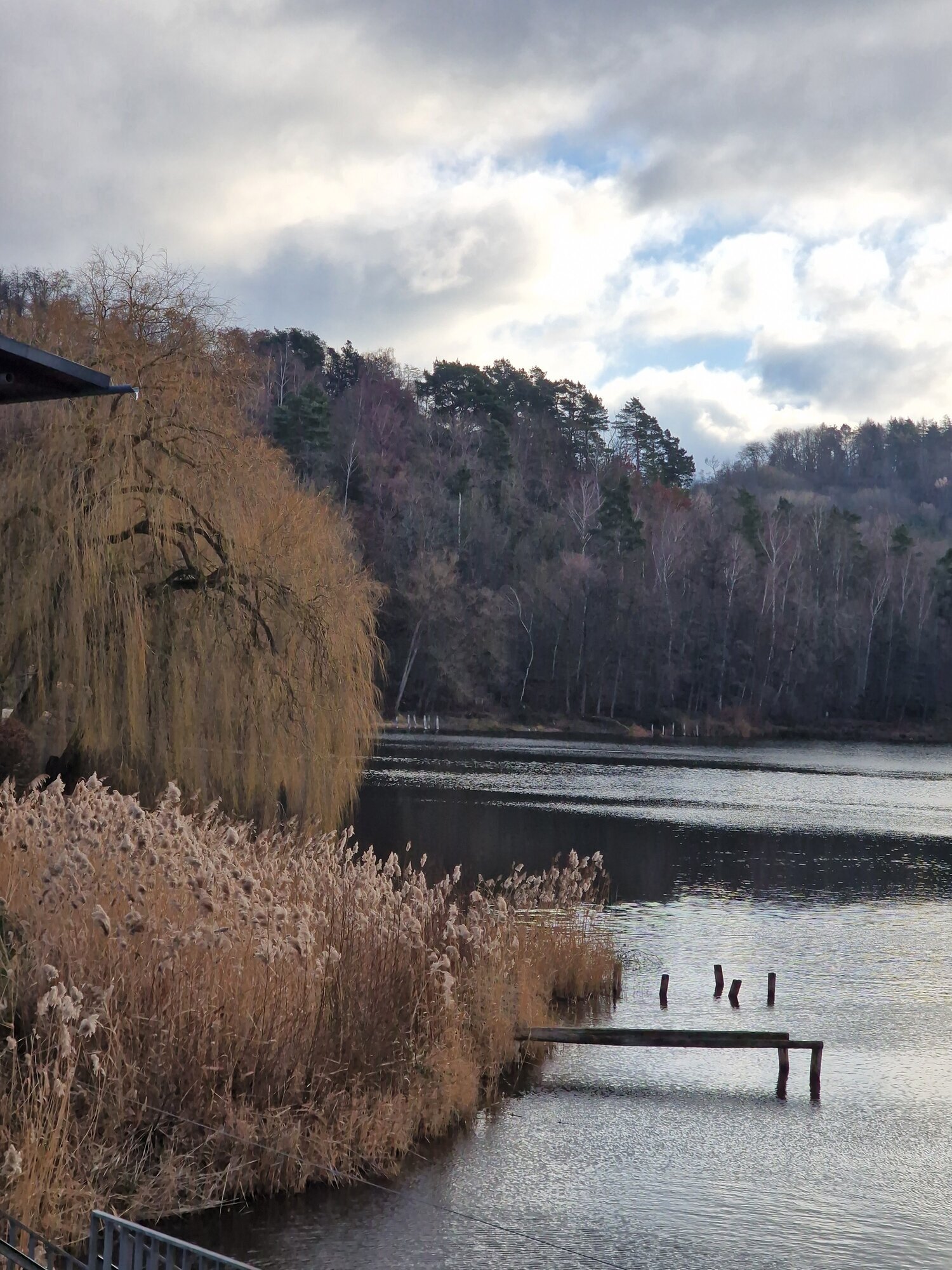 Ferienhaus Mainz am Silbersee, Silbersee 200a in Frielendorf