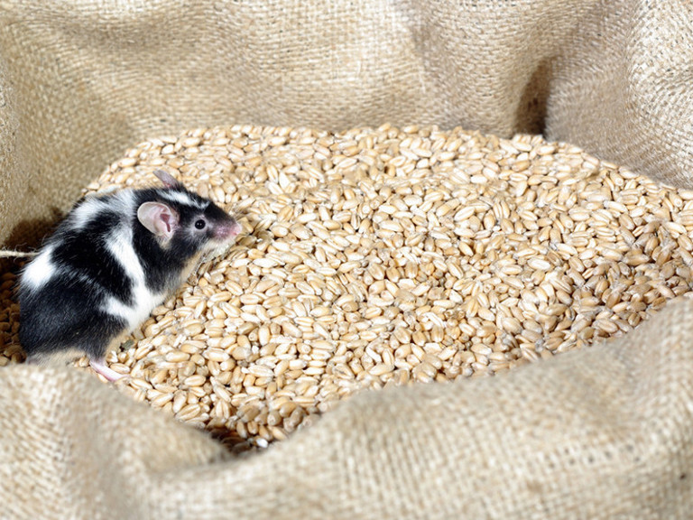 Images agri.com.