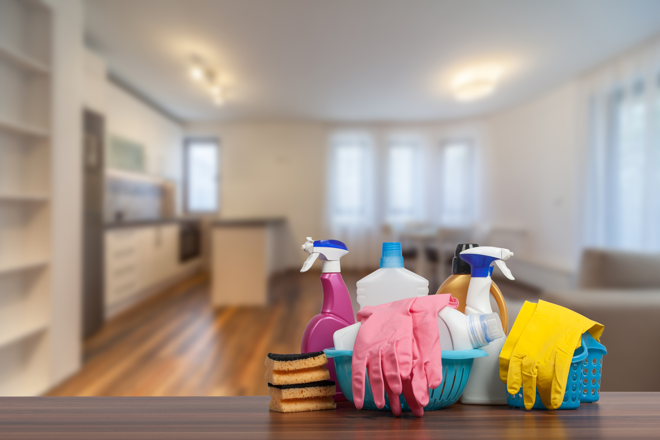 Ramirez Housekeeping Image