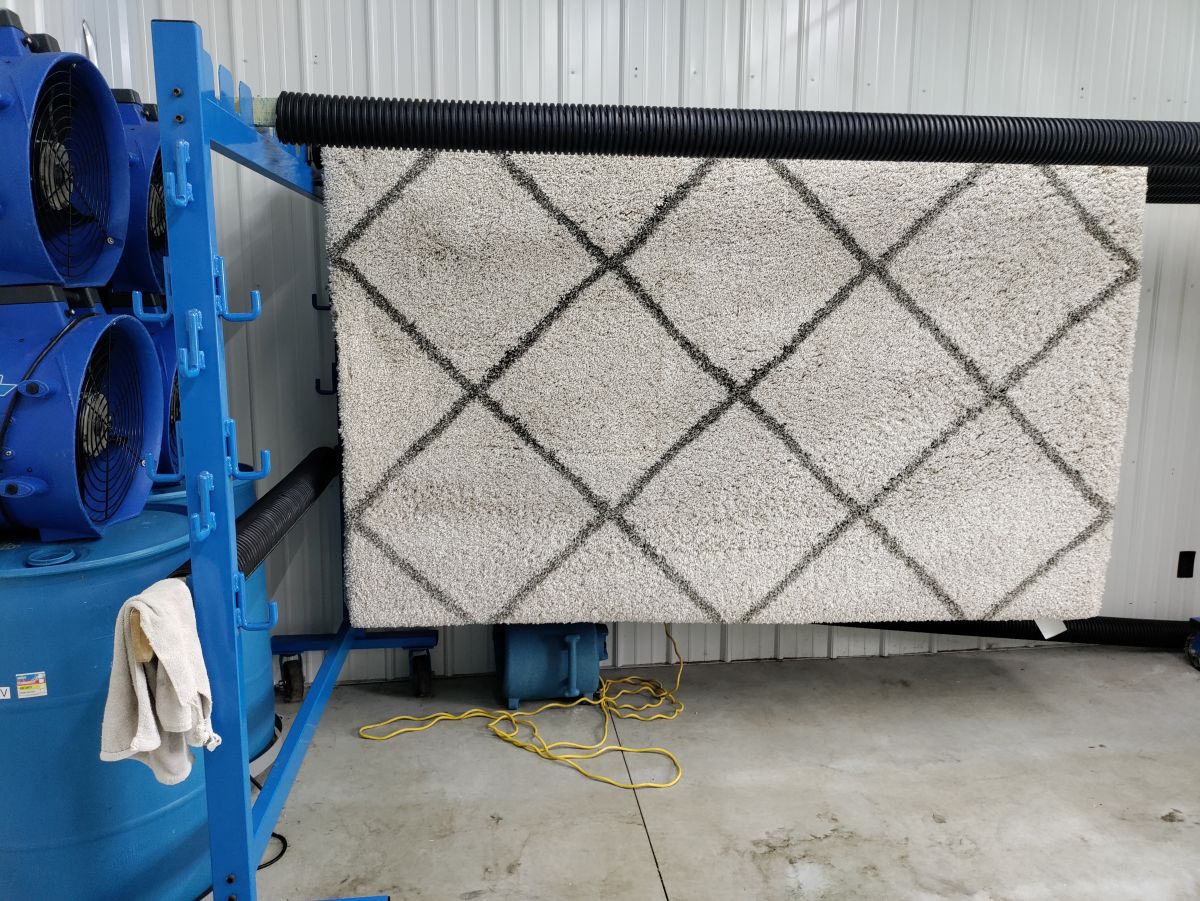 area rug cleaning (drying)