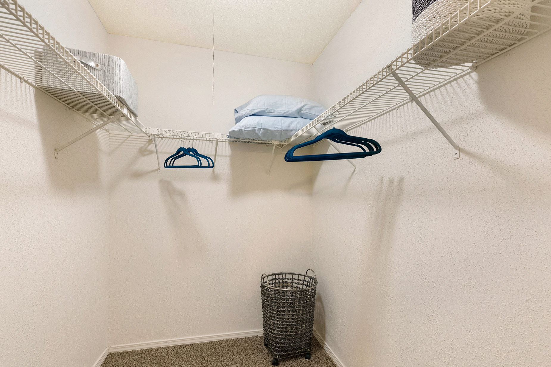 Large Closet with Organized Shelving