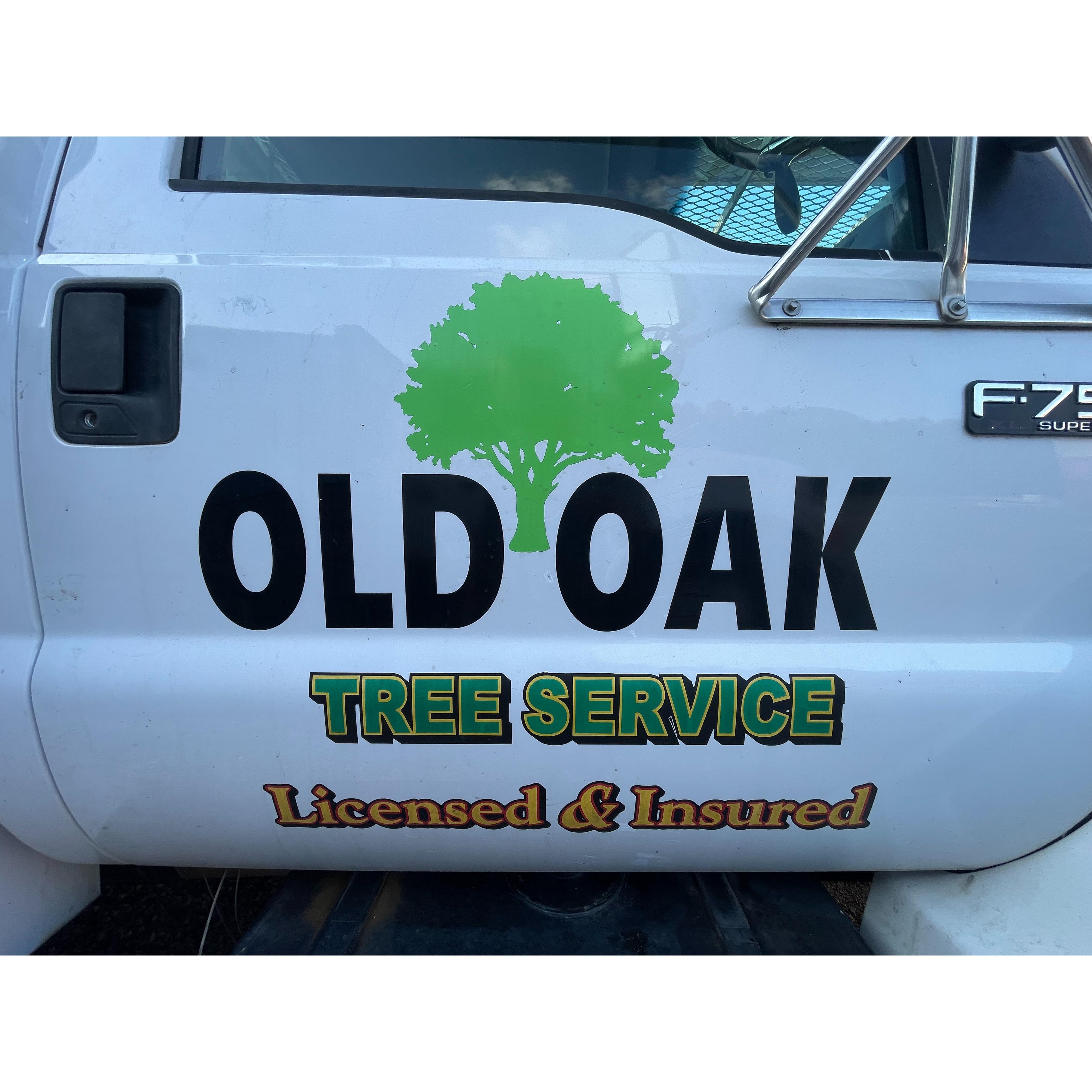 Old Oak Land and Tree - Franklin, VA - (757)276-7366 | ShowMeLocal.com