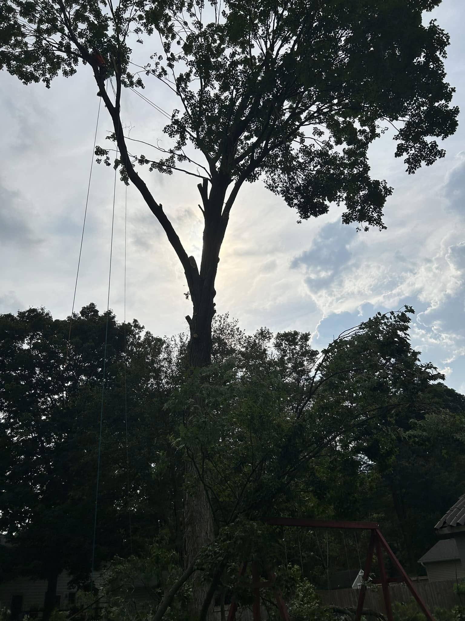Crewslocalservice provides professional tree removal services to safely and efficiently clear unwanted or hazardous trees from any property. Our team ensures a smooth process, creating a safer and more open space while maintaining the integrity of the surrounding landscape. Whether for safety, aesthetics, or land use, we offer reliable solutions tailored to the needs of each property.