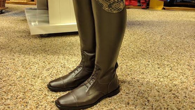 Images Glada Hästen i Spiltan