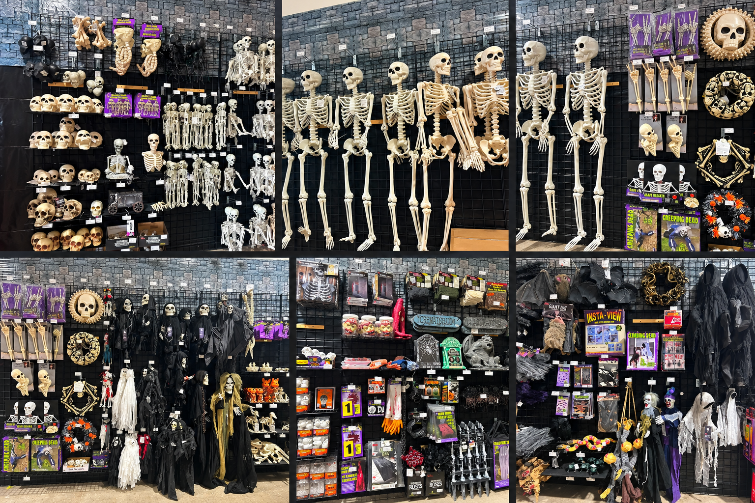 Shop spooky finds at Party Wow! Florence! Discover skeletons, skulls, ghosts, bats, tombstones, and Halloween props to create a frightfully fun display. Stop by and get ready for a Halloween celebration!