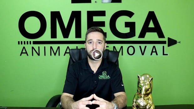 Images Omega Animal Removal Houston