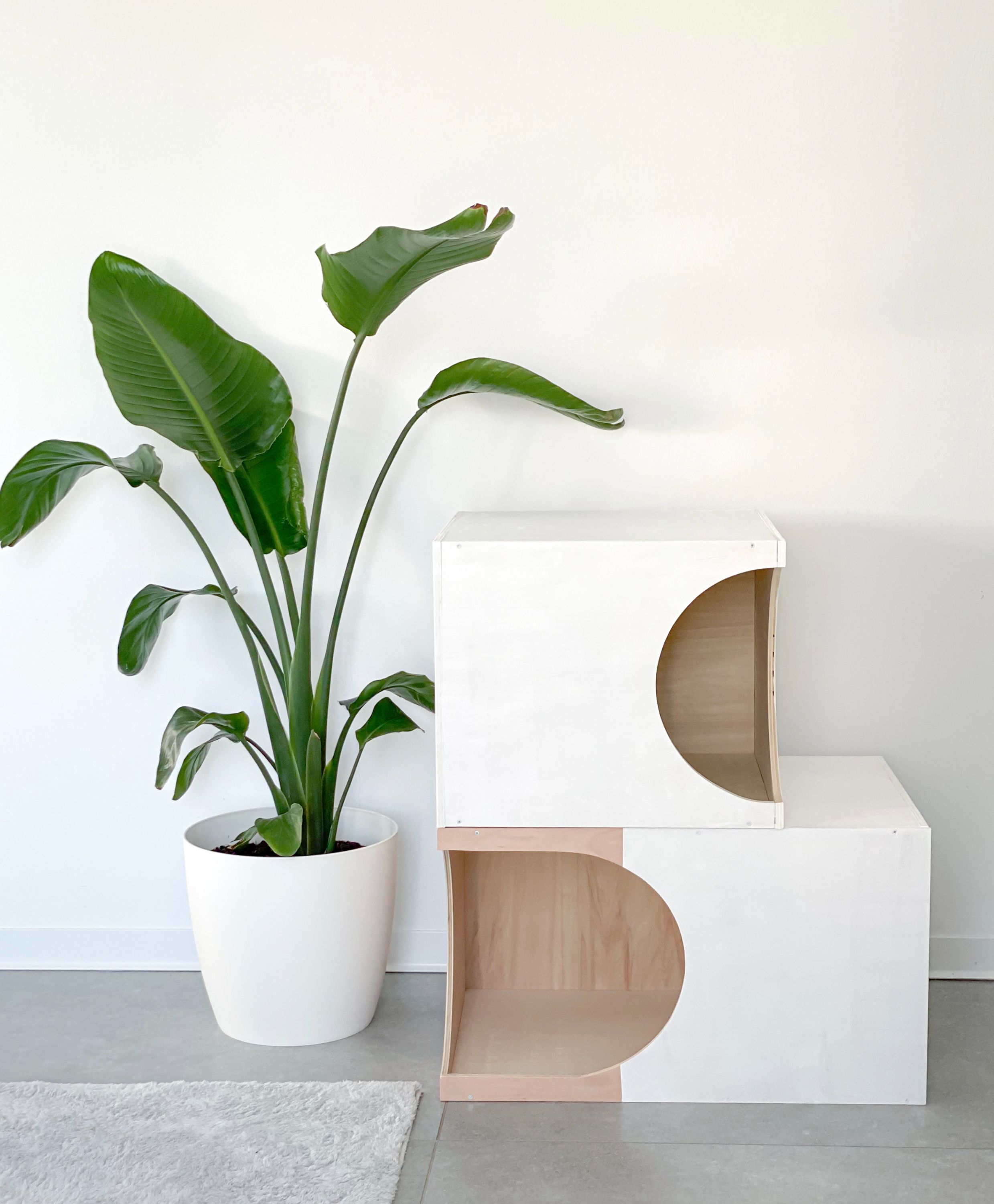 Wood-Kleintiermöbel by Julian Rumpel in Poppenhausen