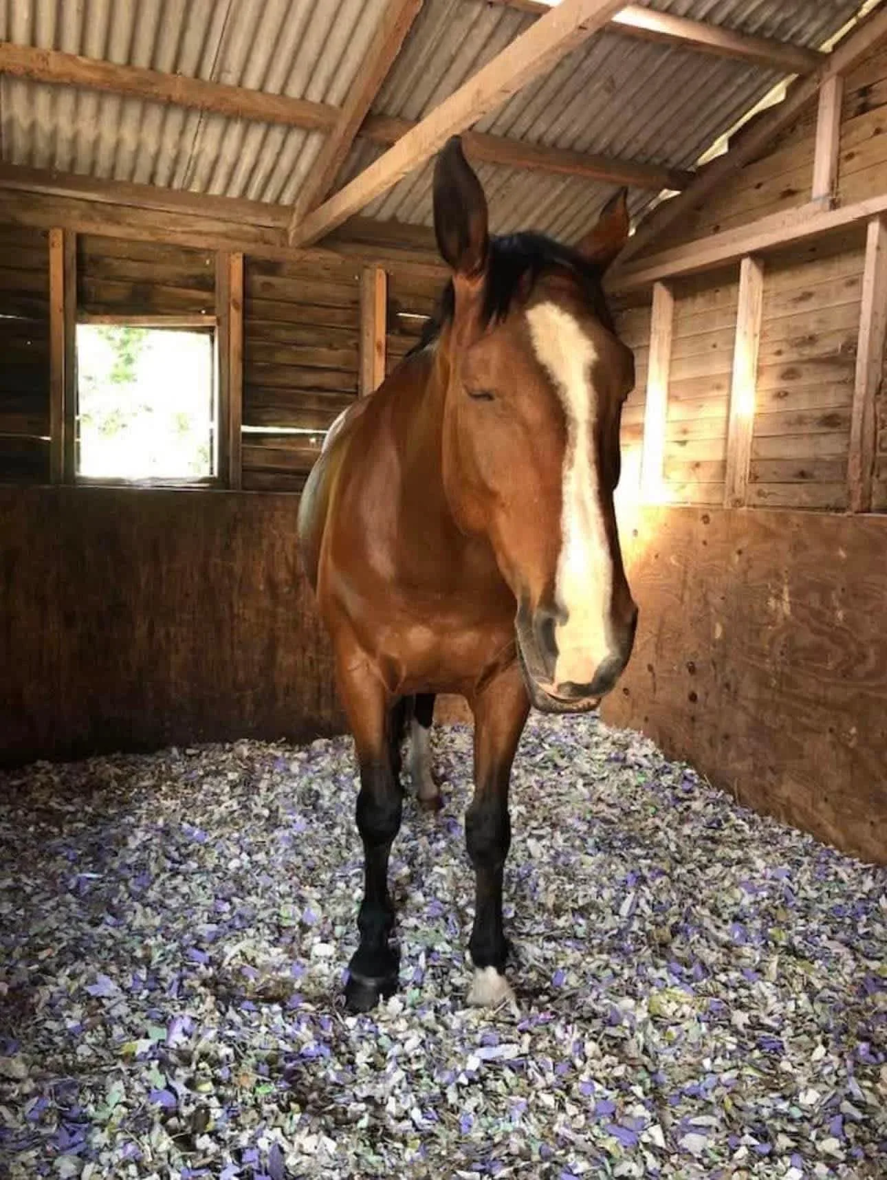 Images Easy Bedding & Feeds Ltd