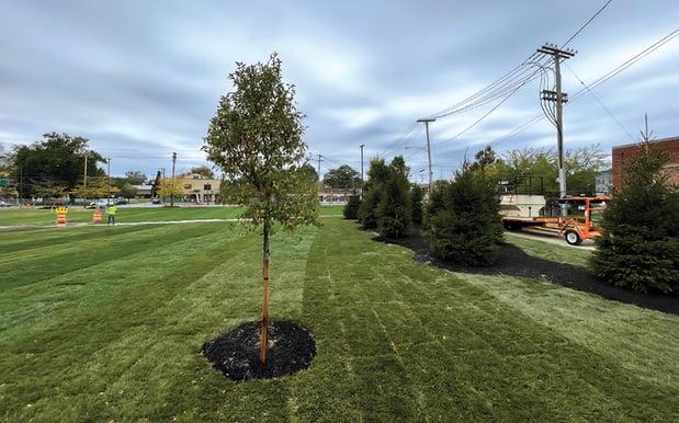 Images Zscape Horticulture