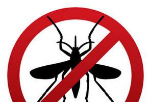 Images Eliminate 'Em Pest Control Services, LLC