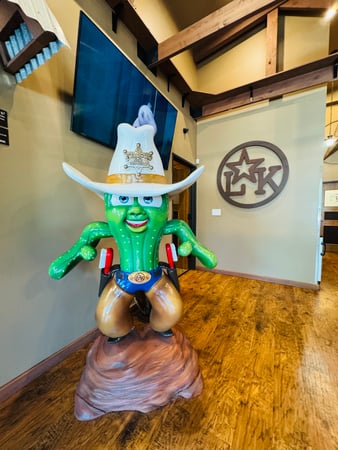 Images Lonestar Kid’s Dentistry Frisco