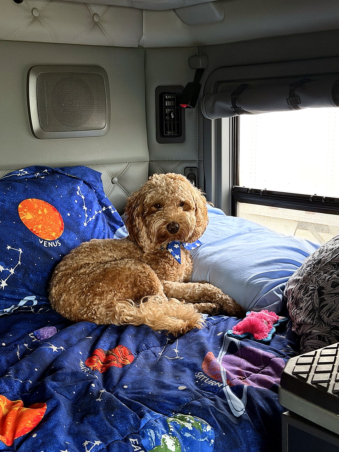 AeroLuxe Ground Inc. sleeper-cab interior featuring a comfortable rest area for an over-the-road dri 