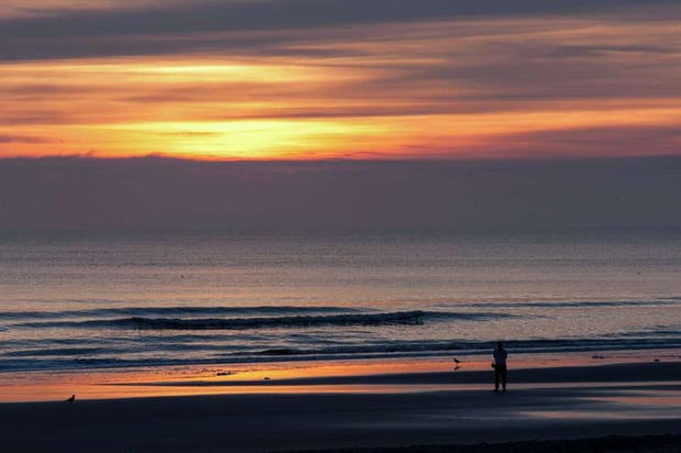 Images Hampton Inn Jacksonville Beach/Oceanfront