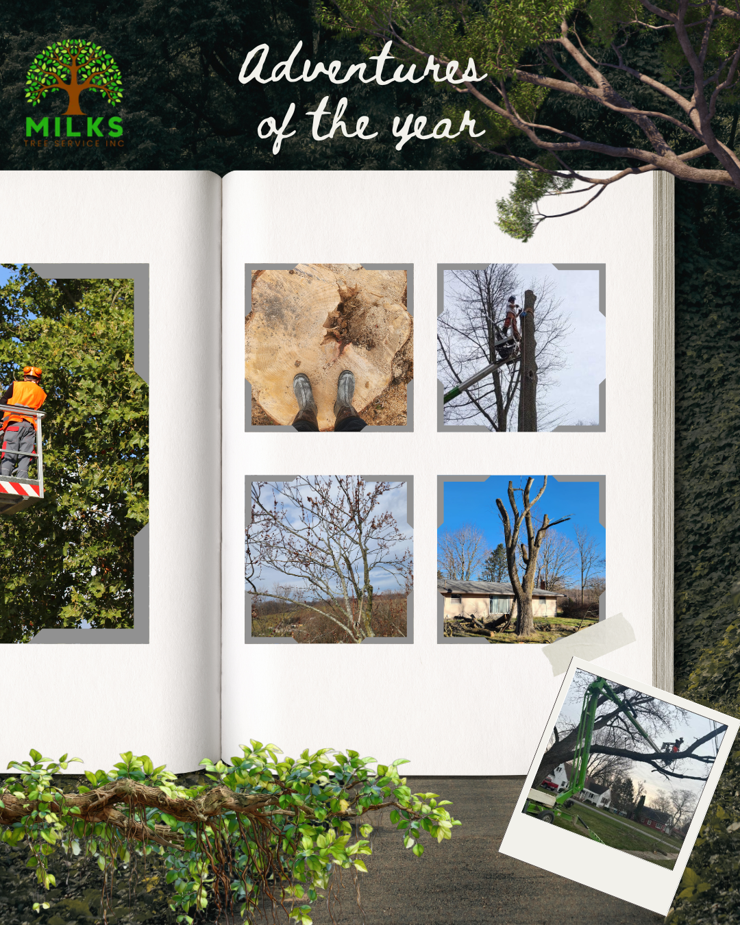 Milks Tree Service Inc Image