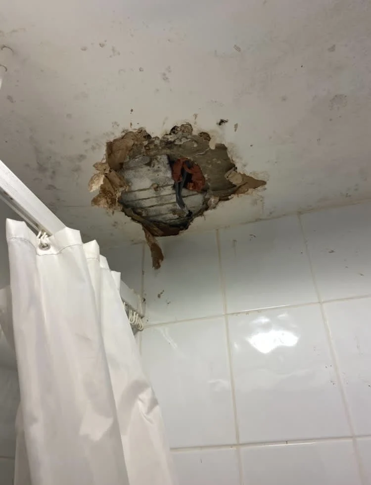Images Housing Disrepair Experts