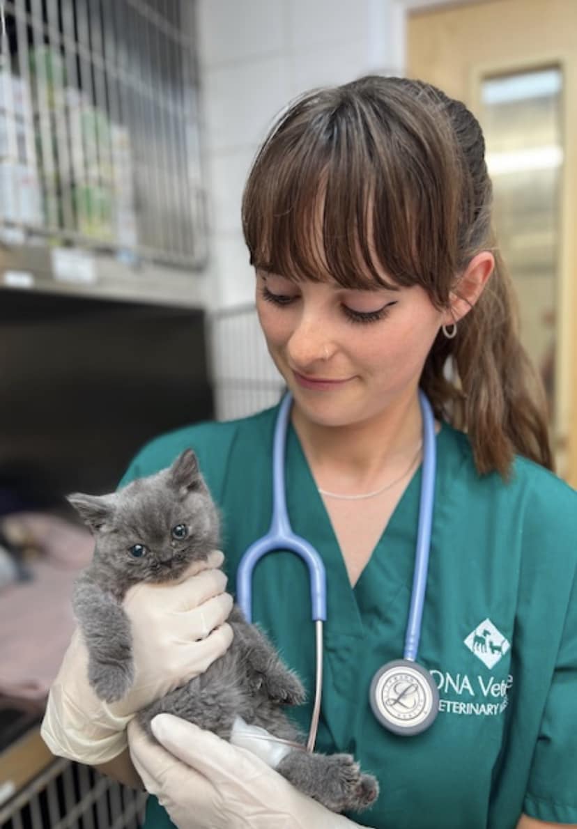 Images Streatham Hill Veterinary Surgery