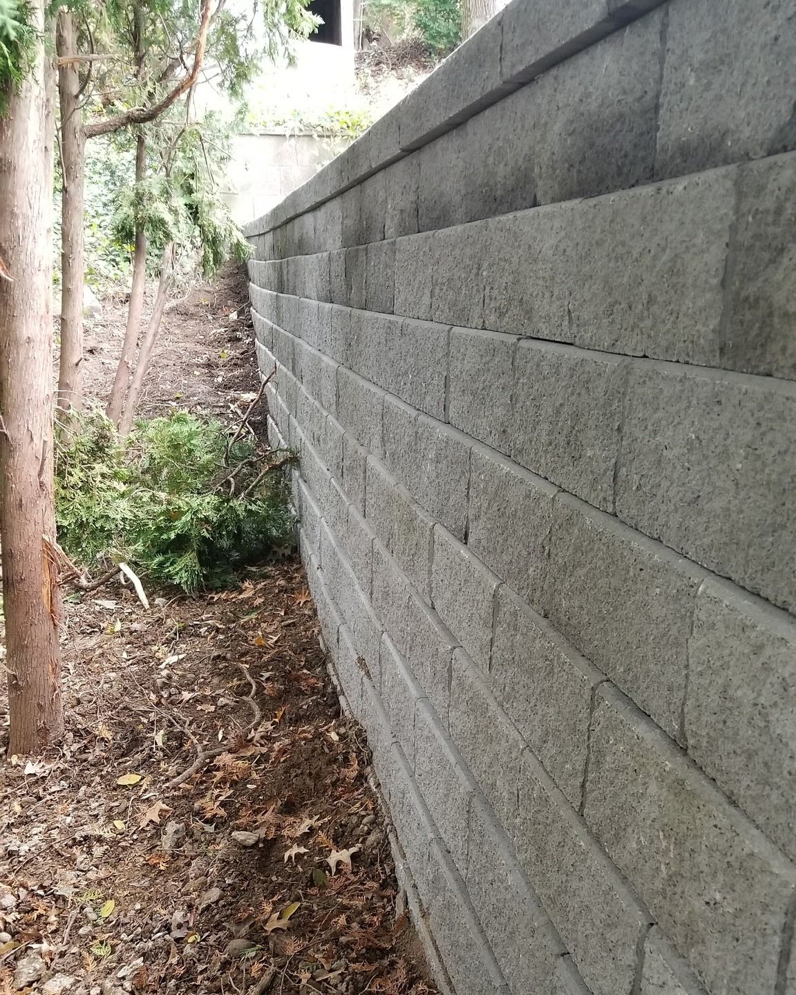 Muddy Creek Earthwork Image