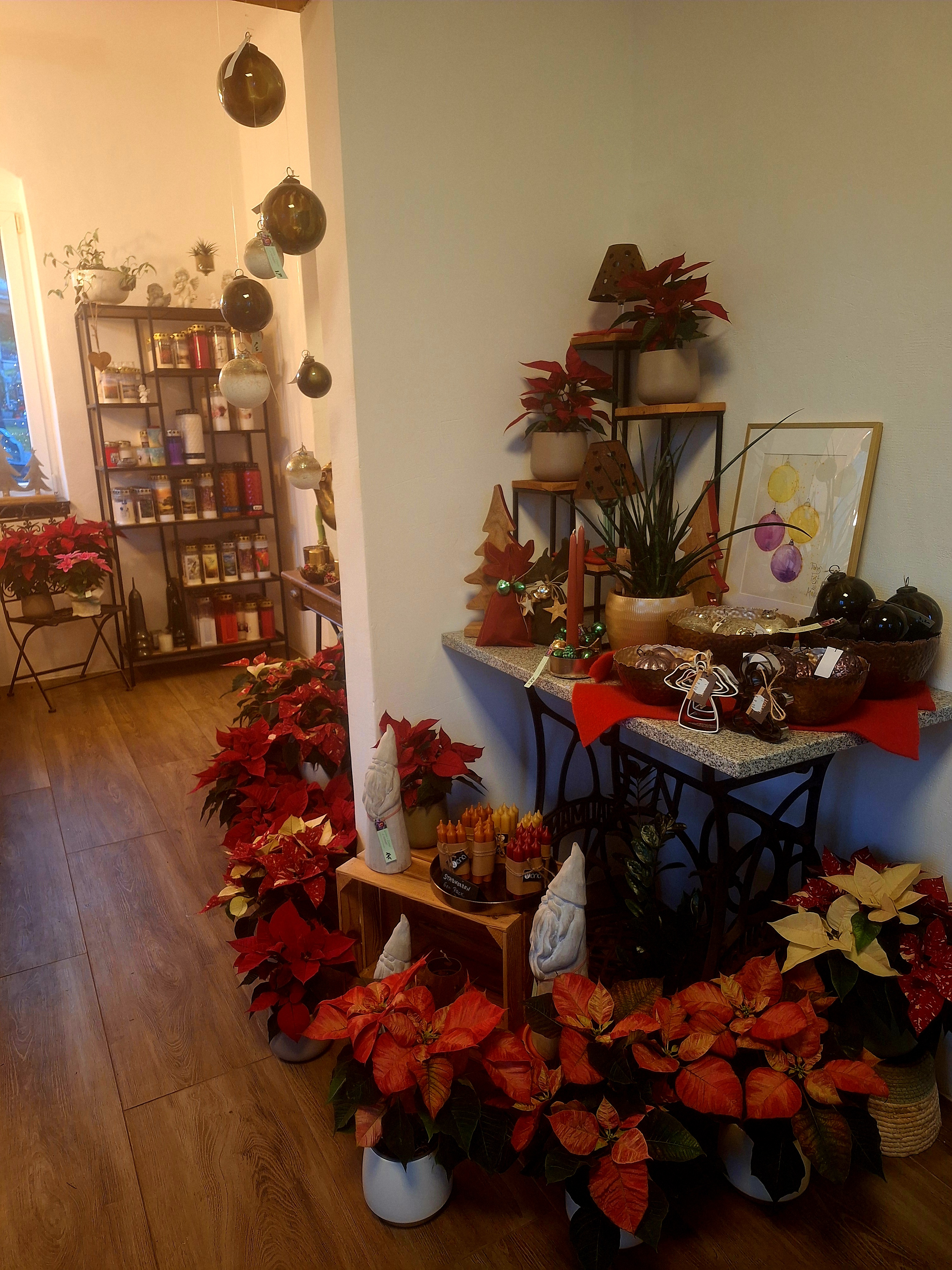 Bild 14 von Grün-Zone