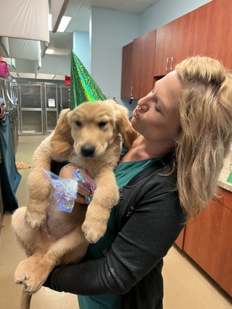 Images VCA Oak Hills Animal Hospital