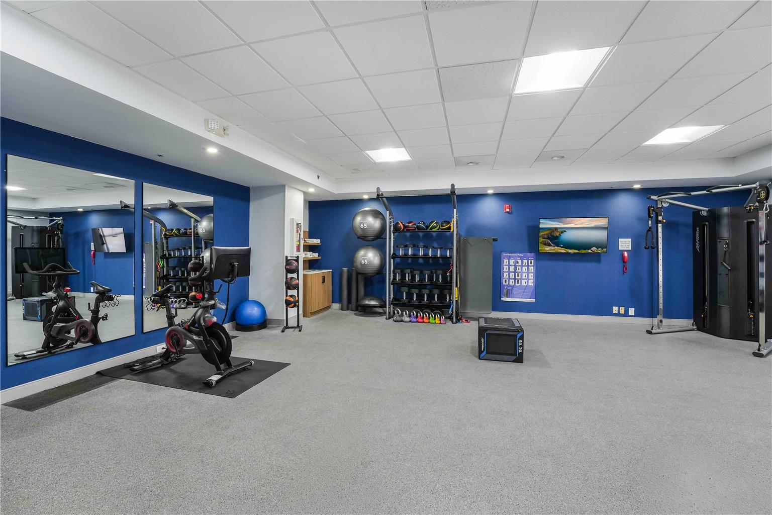 Health club  fitness center  gym 