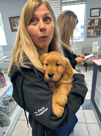 Images VCA Preston Park Animal Hospital