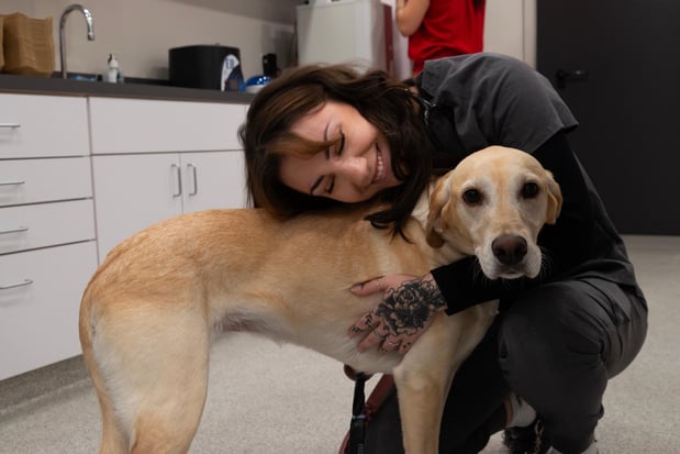 Images Furgent Care Vet